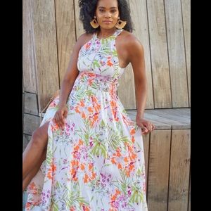 Abel the Label Halter